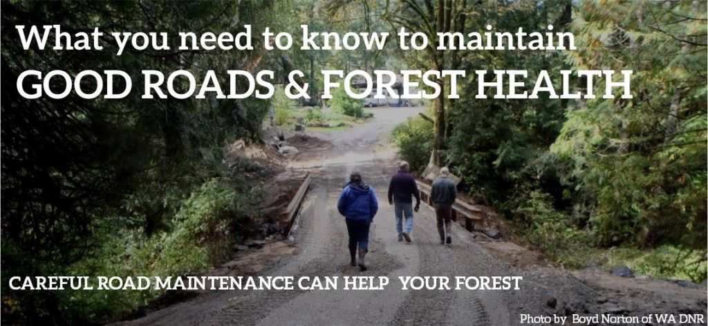 Good Roads & Forest Health
