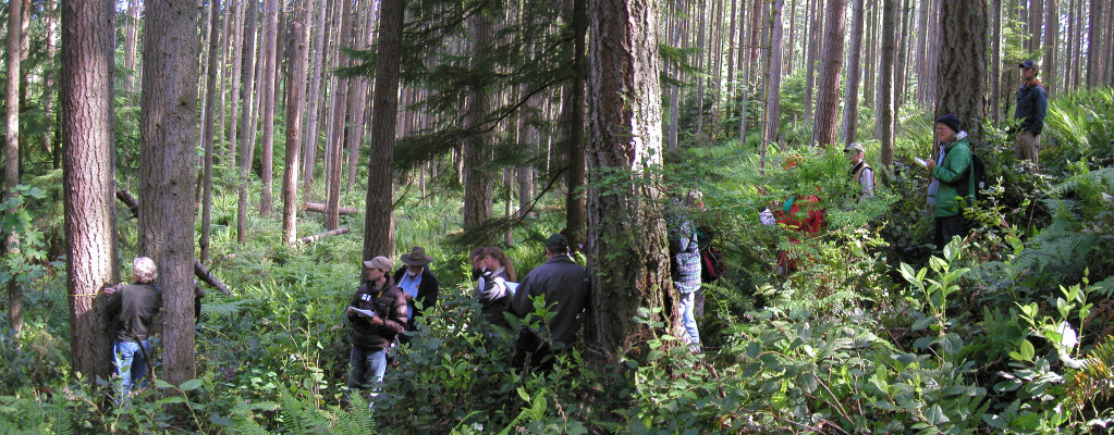 Ecological Forestry at Northwest Trek