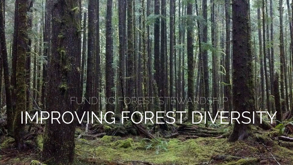 Funding Forest Stewarship