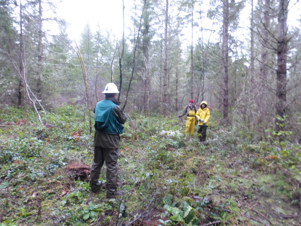 State parks ecologist Rob Fimble talks with WCC crew about goals for the restoration work.