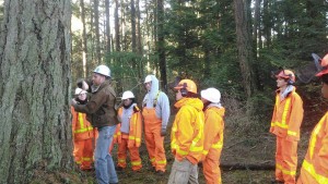 NNRG teaching forestry techniques to Americorps members at Camp Orkila