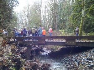 Workshop attendees viewing a new bridge that replaced a series of concrete barriers blocking fish passage in the Skagit Watershed. This forest owner enrolled in DNR's Family Forest Fish Passage Program.