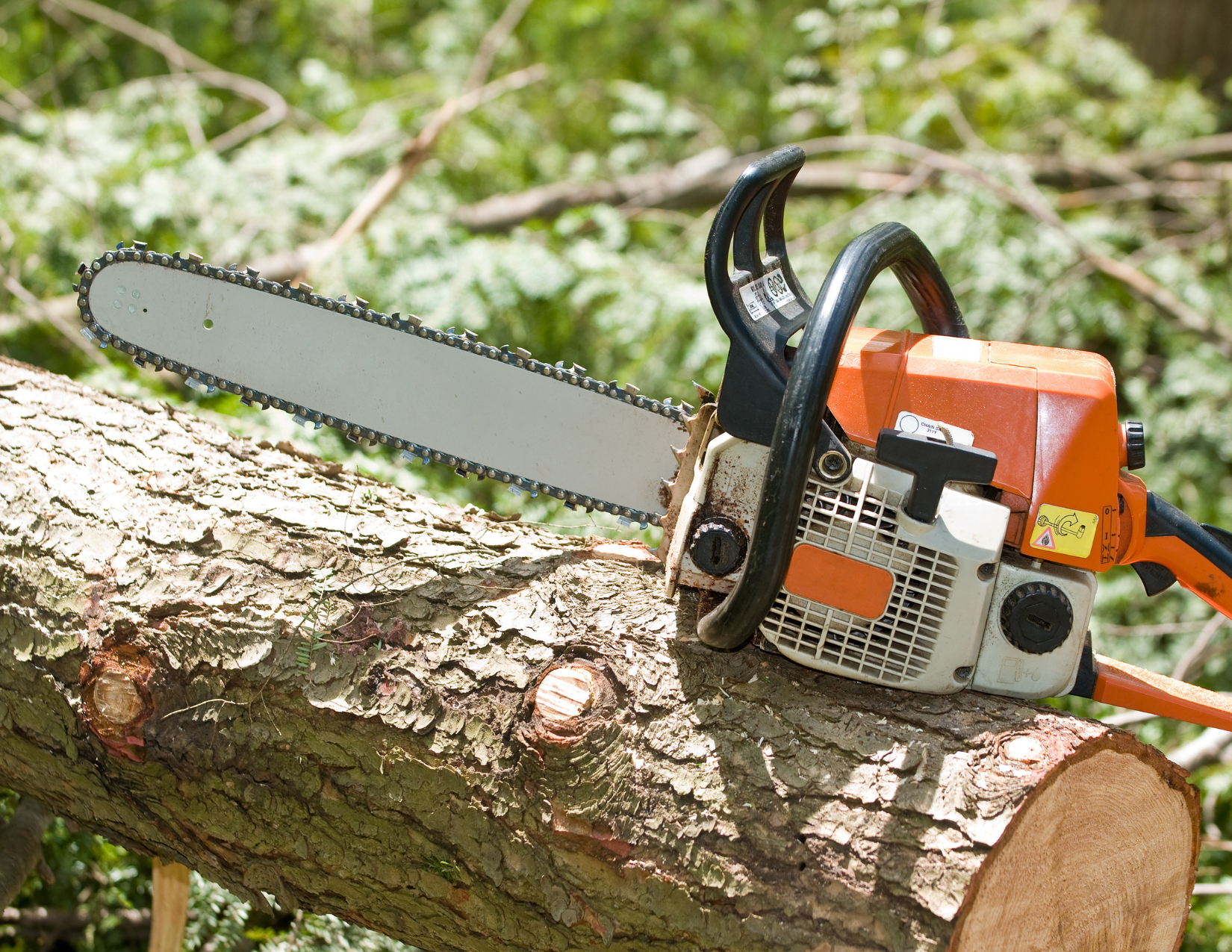 Level 2 Chainsaw Training Course -Arbotrim Training